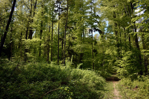1457458 (a): :2560x1706